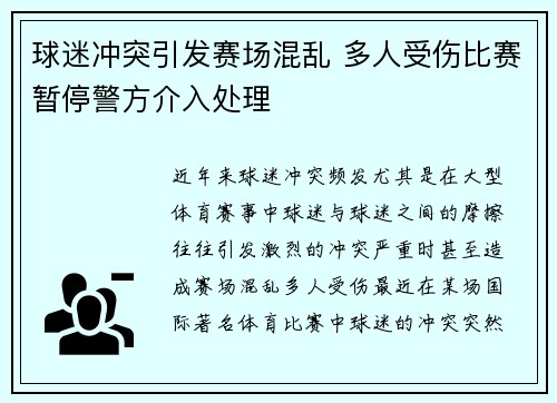 球迷冲突引发赛场混乱 多人受伤比赛暂停警方介入处理